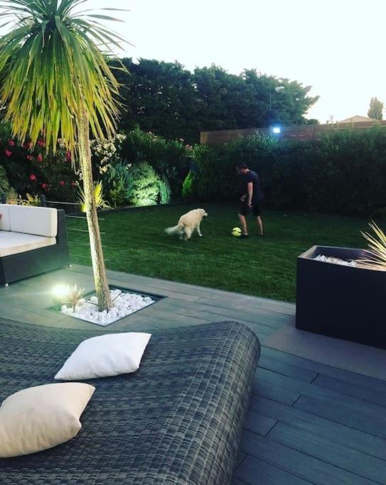 Maison De Vacances Contemporaine Avec Piscine Villa Vedène Exteriör bild